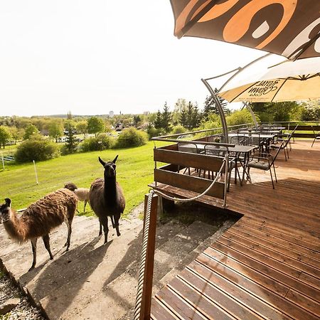 Hotel Rozkos Česká Skalice المظهر الخارجي الصورة
